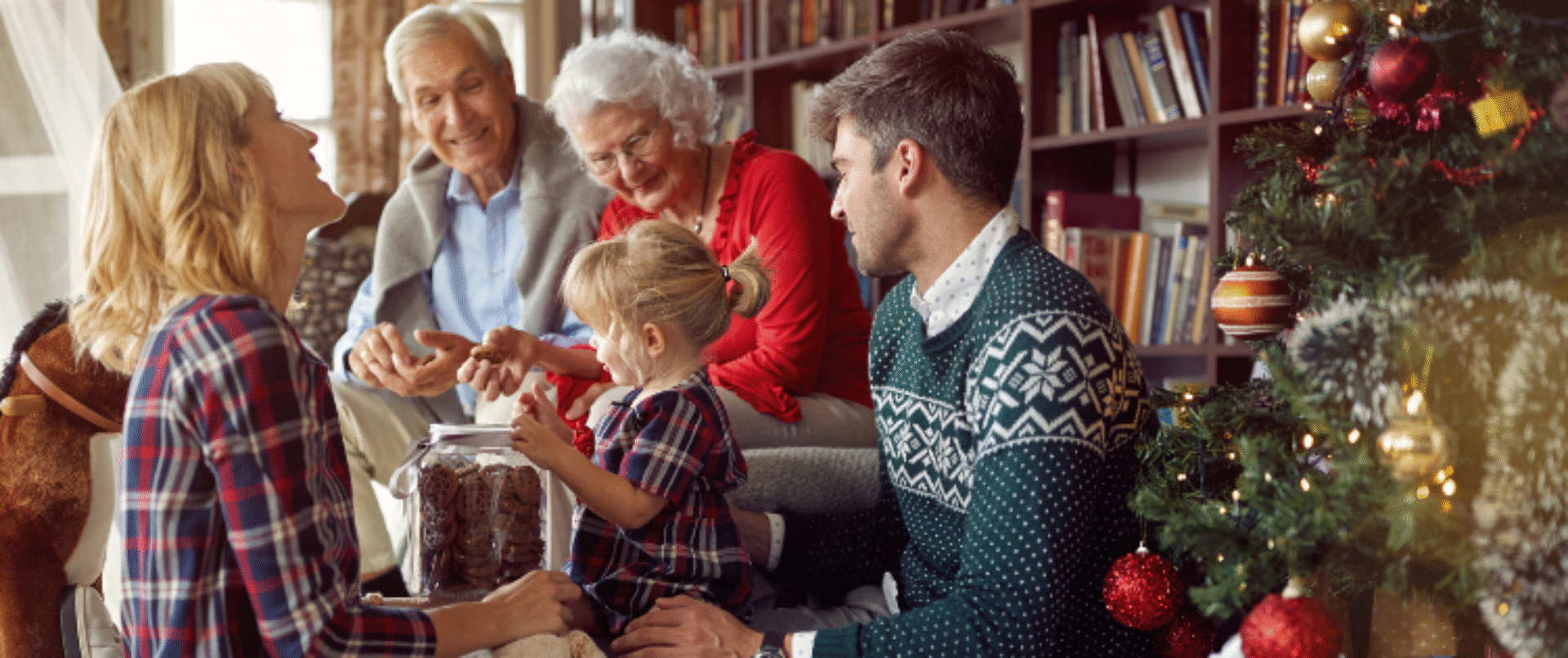 bannière novembre joy express